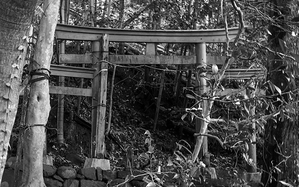 アーカイブ（Archives） | Chiyorozu - Religious syncretism in